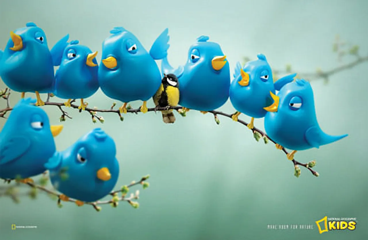 Birds