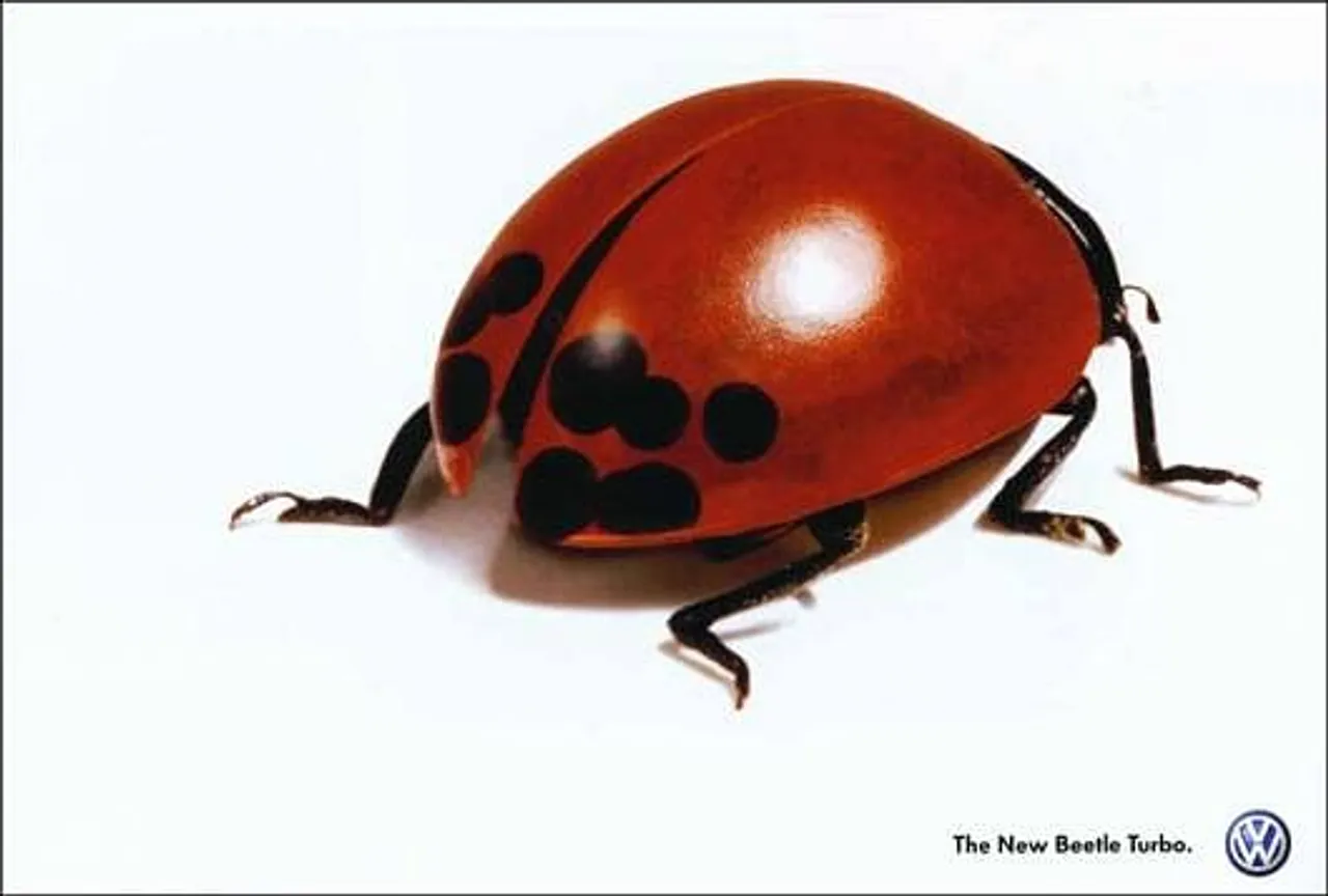 Beetle