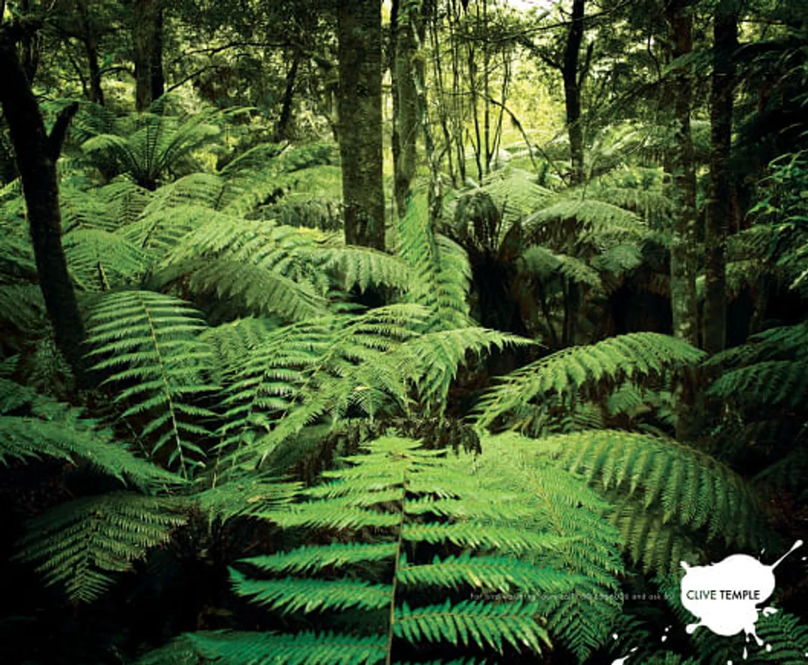 Forest