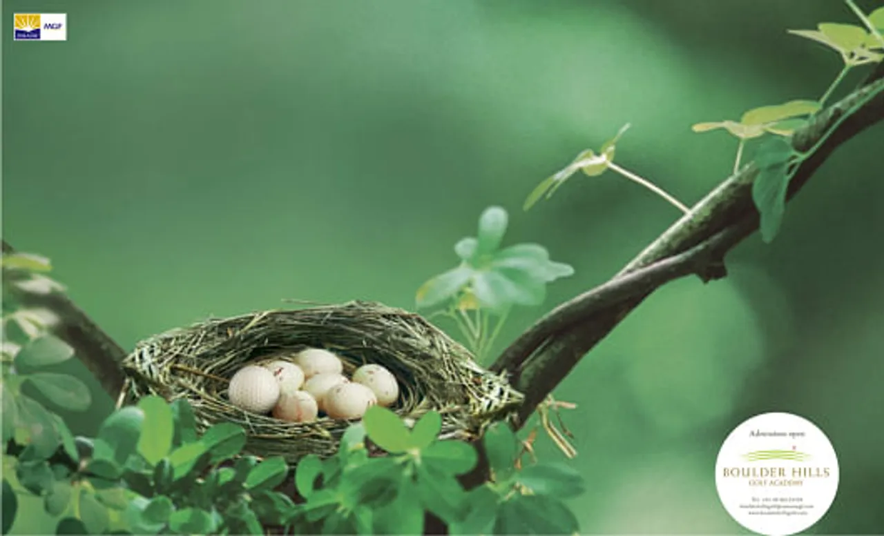 Nest