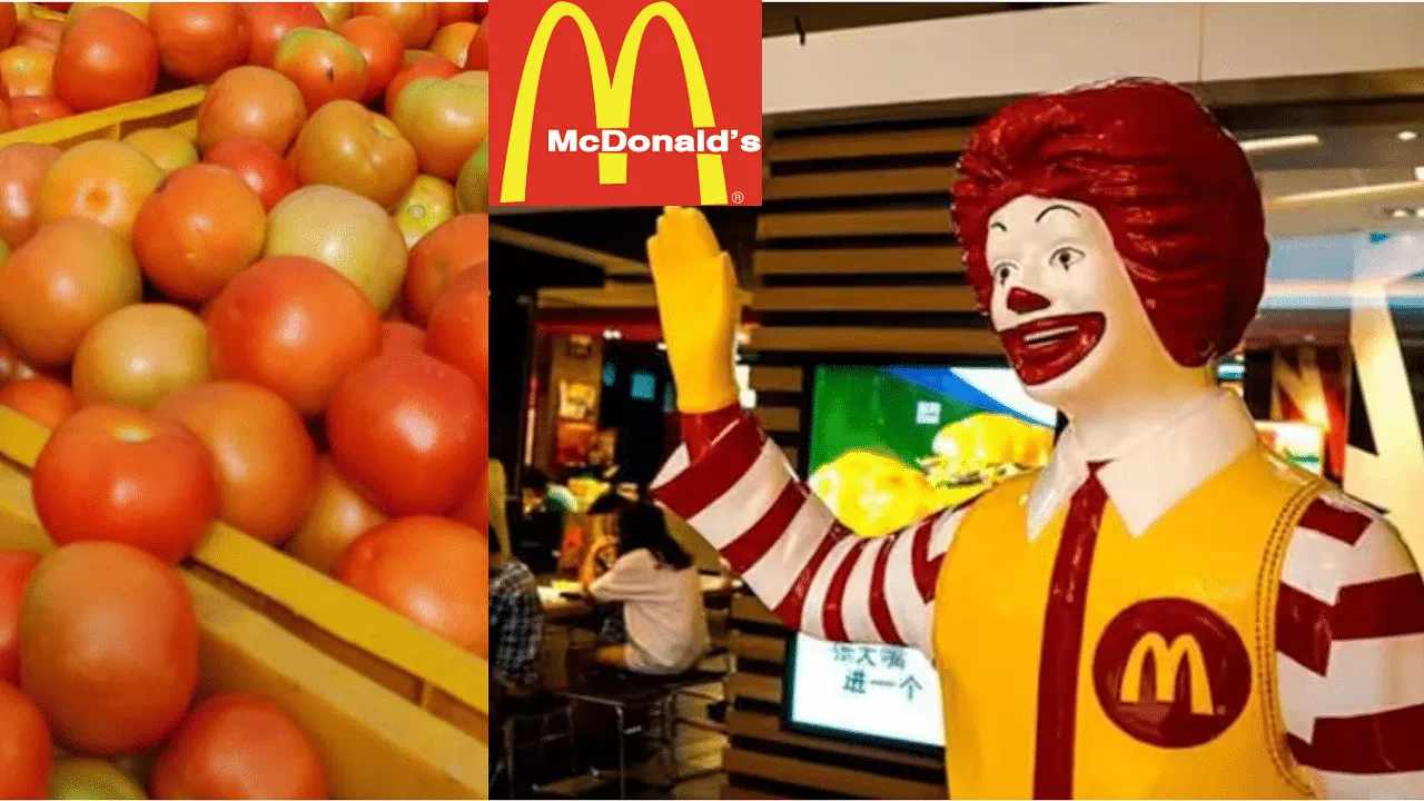 You won't find tomatoes in your McDonald's orders for now