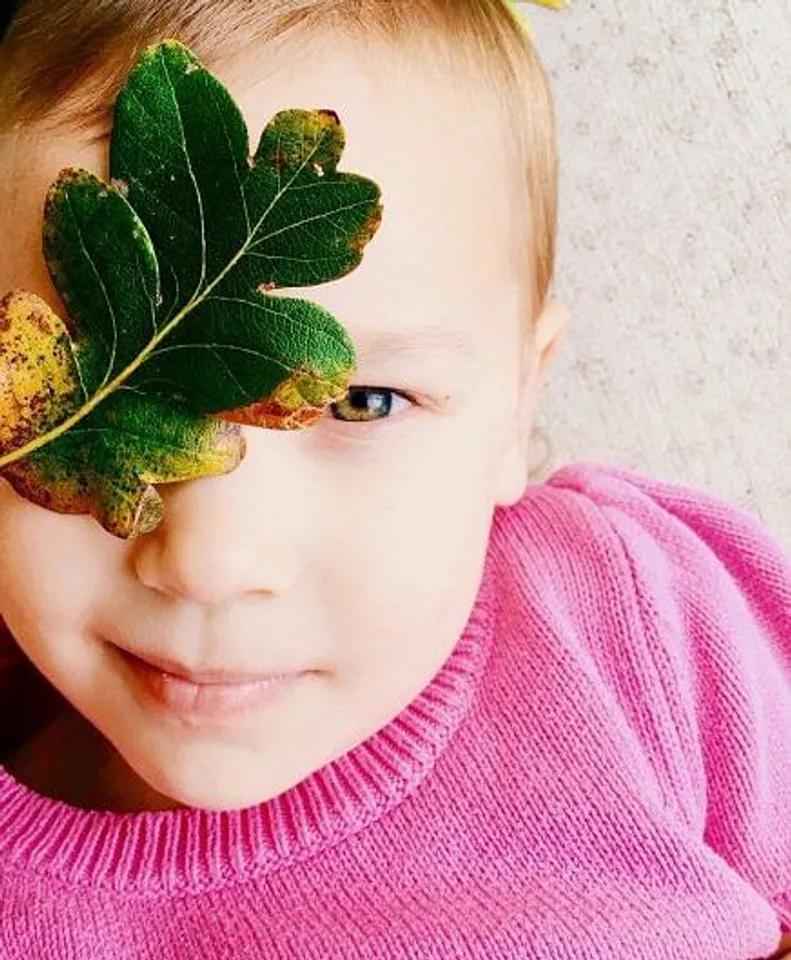 A photo taken by Erin Brooks from Lakewood, Washington