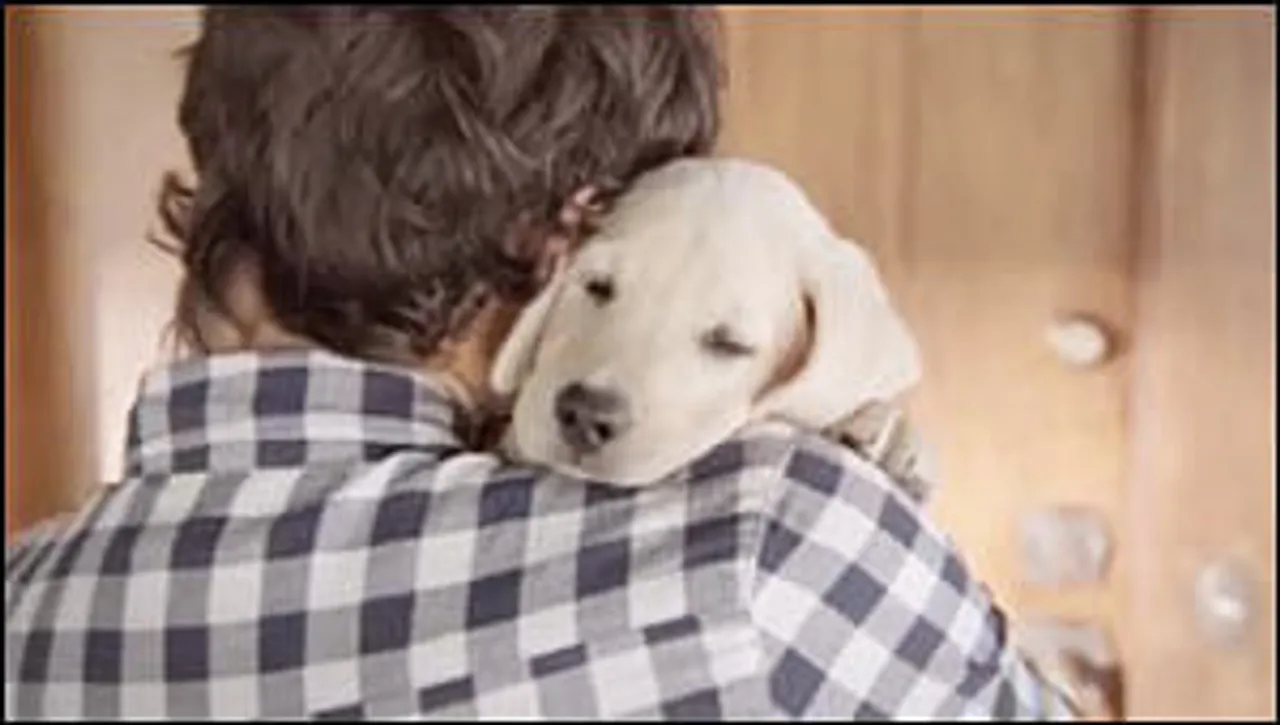 Viral Now: Puppy Love Comes Back