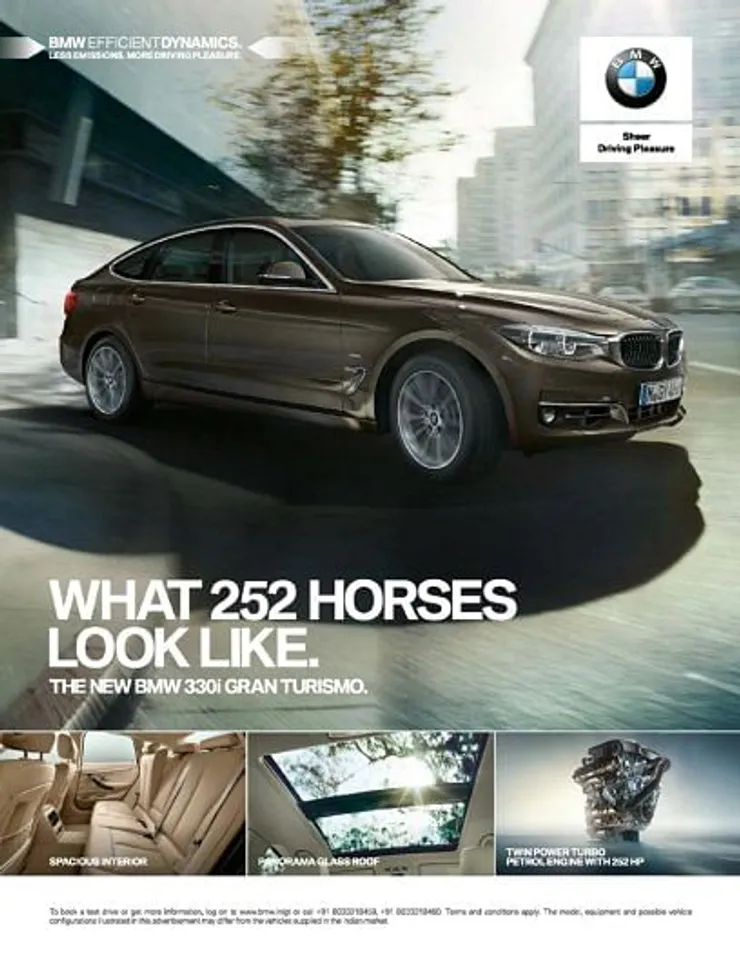 What 252 horses look like