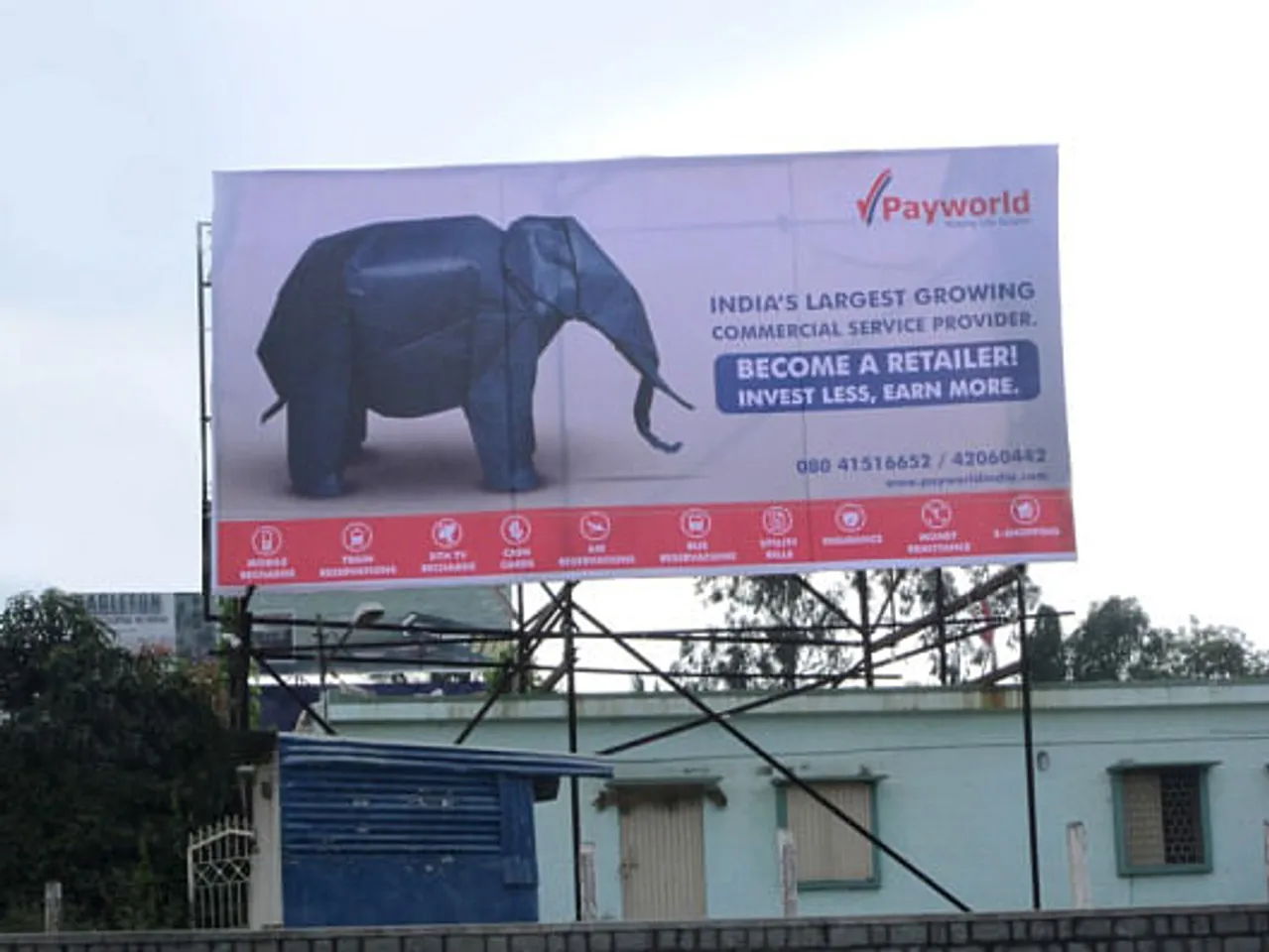 Elephant