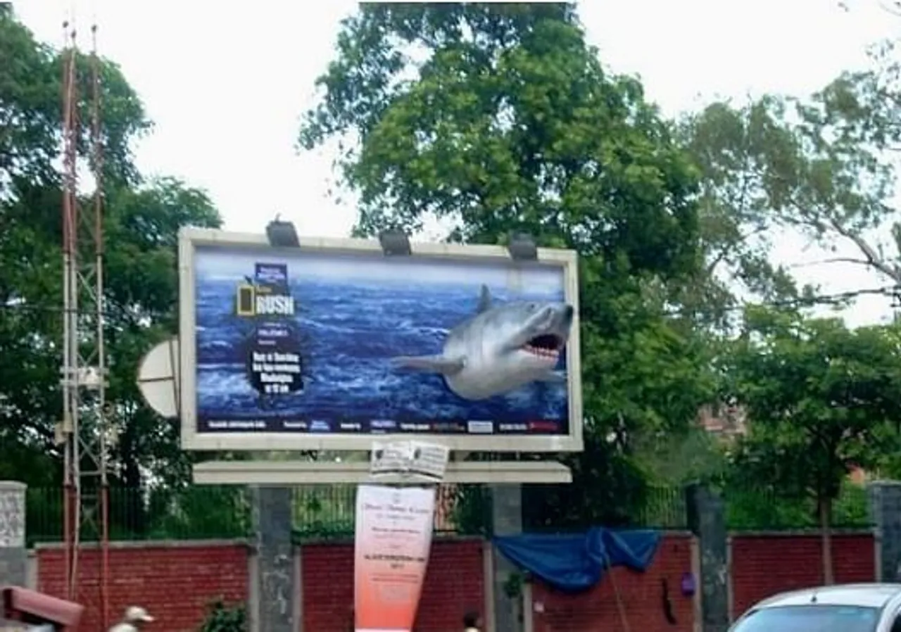 Shark