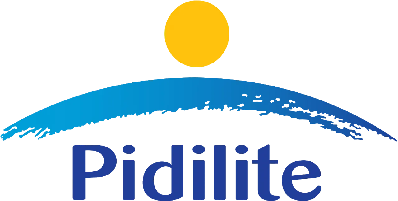 Pidilite ramps up Q1 FY24 ad spends by 70-75%