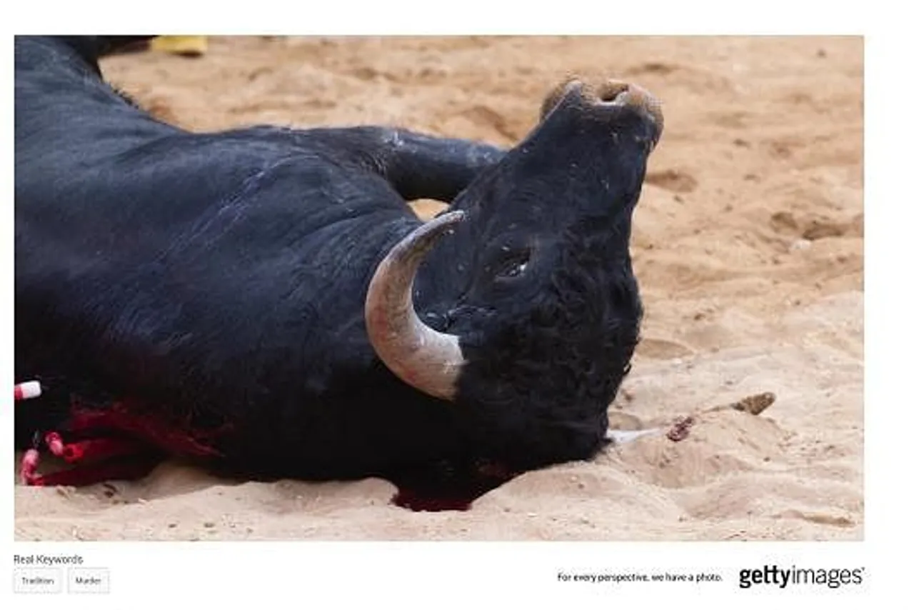 Bullfighting