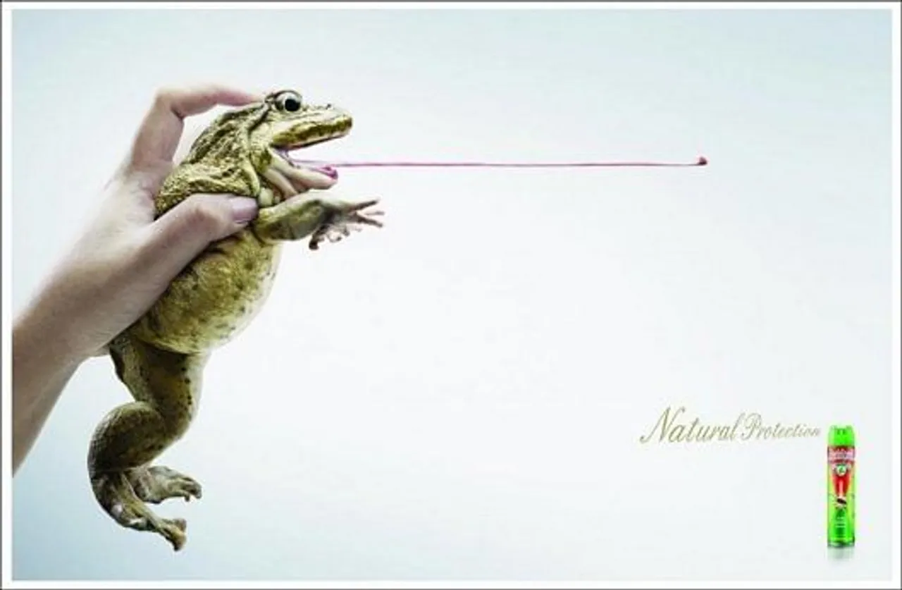 Frog
