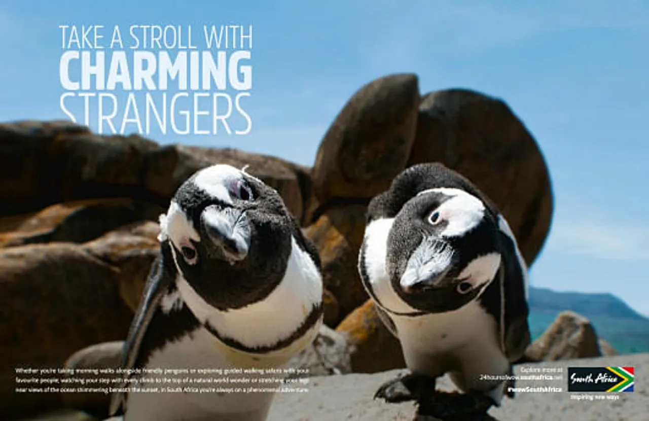Take a stroll with charming strangers