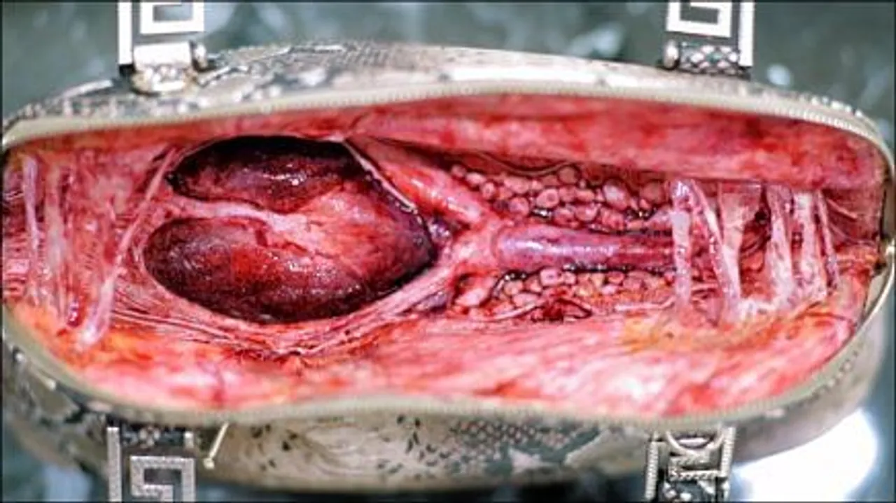 afaqs! Creative Showcase: PETA shocks shoppers with bloody hearts inside leather bags