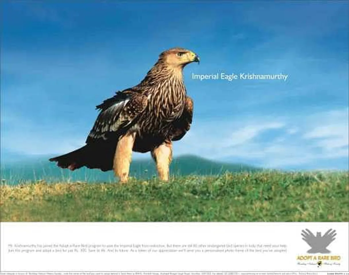 Imperial Eagle Krishnamurthy