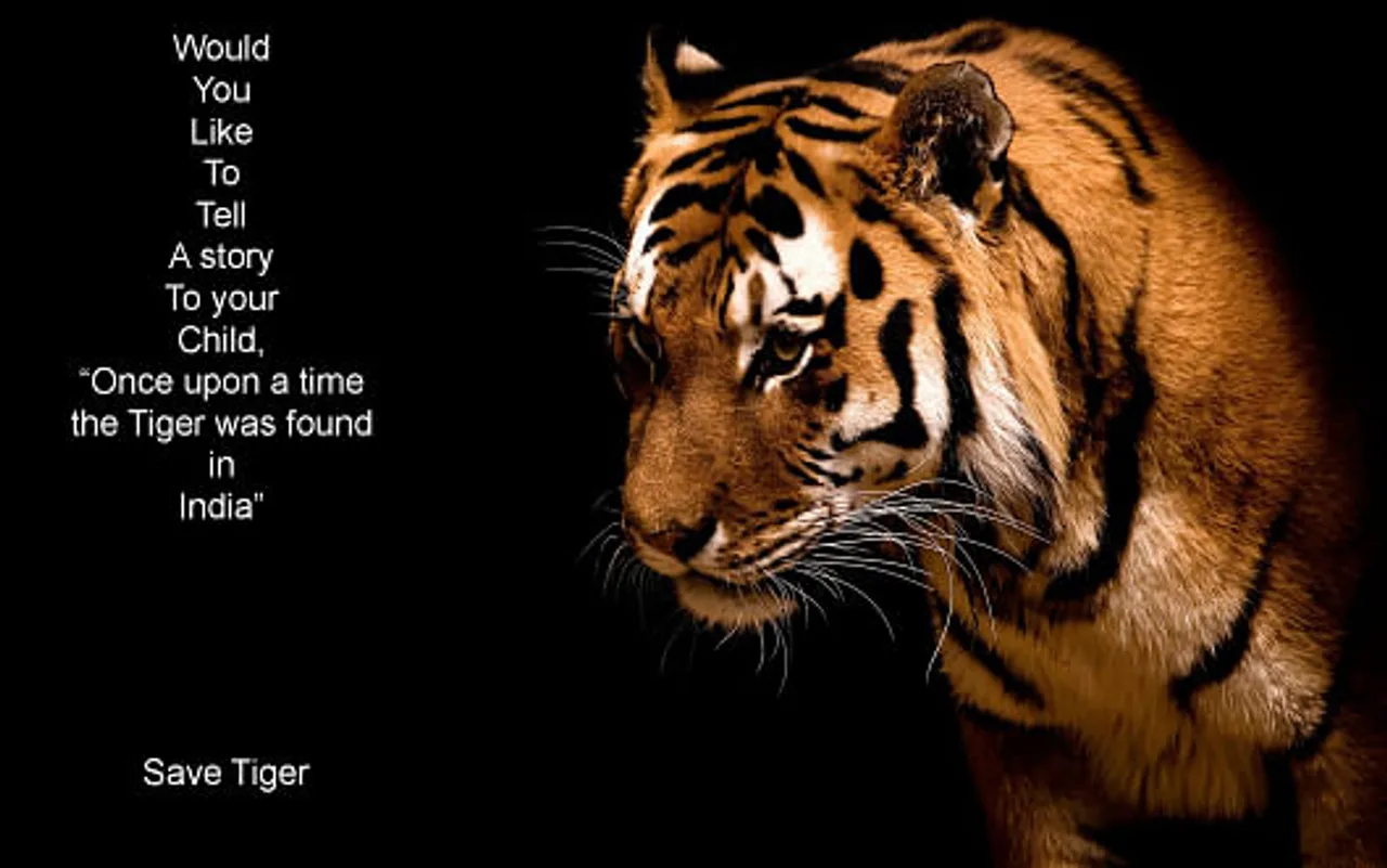 Save our Tiger