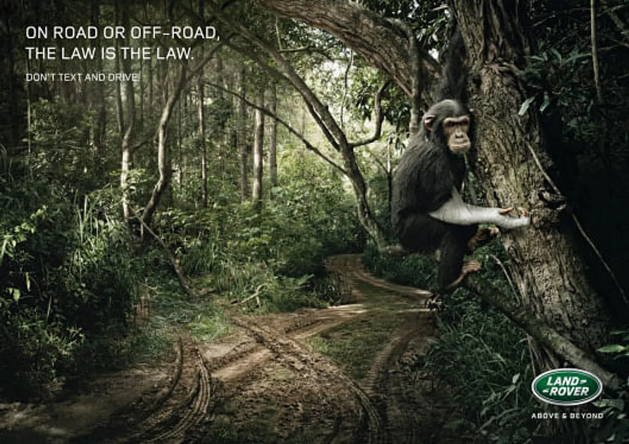 Don't text and drive - Monkey