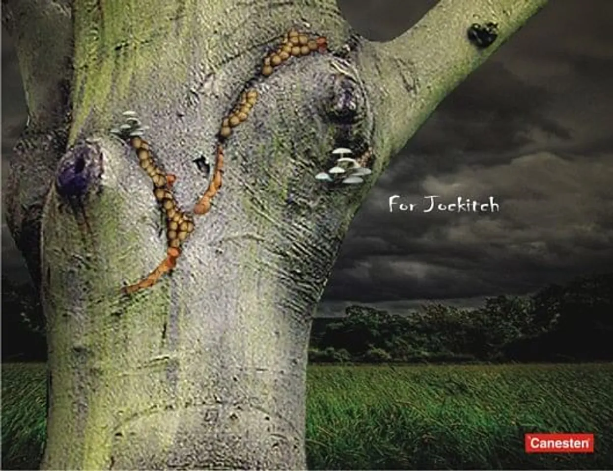 For jockitch