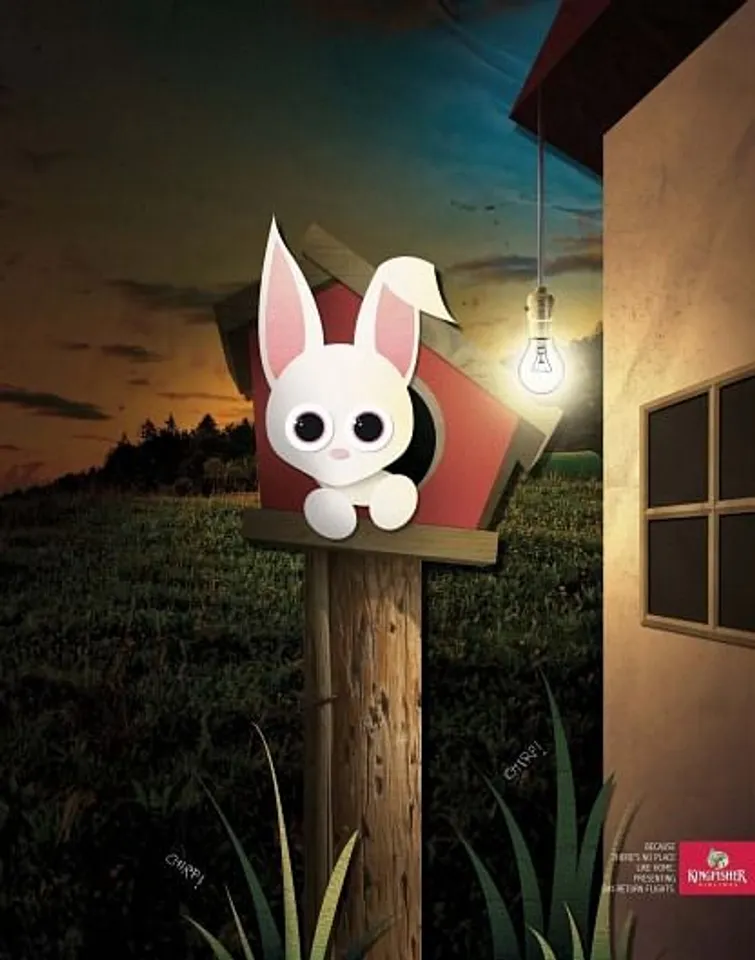 Day return flights - Rabbit