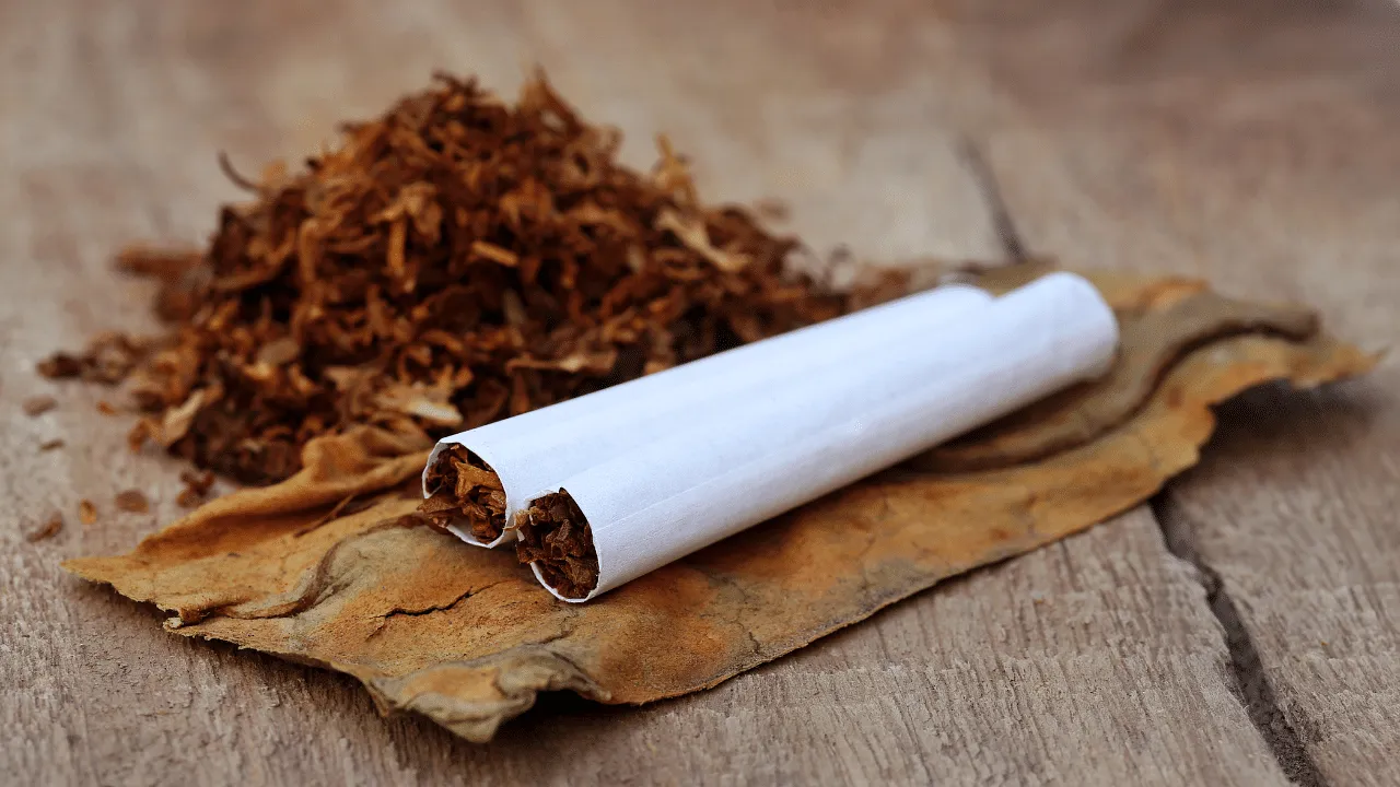 40% of ads promoted tobacco brands during Cricket World Cup '23 : Indian Council of Medical Research
