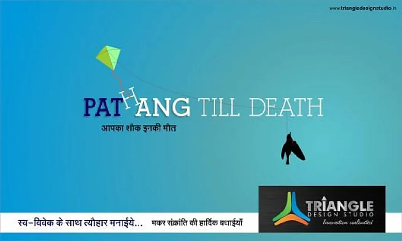 makar sankrianti, festival, kite, bird, death, creative, conceptual