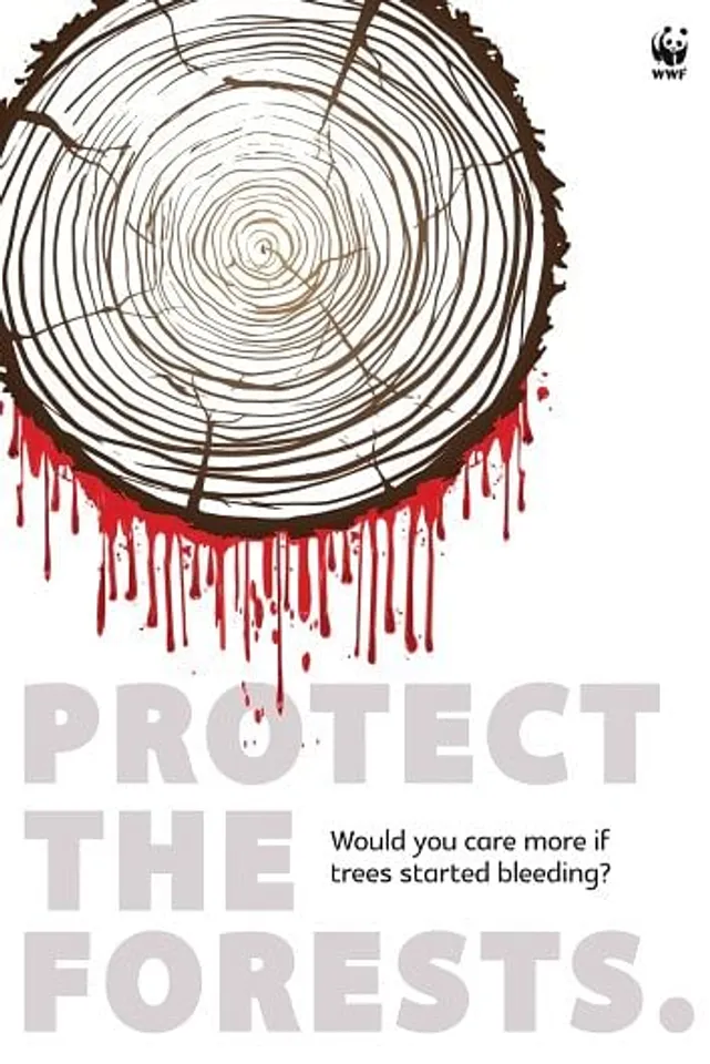 Save Forests