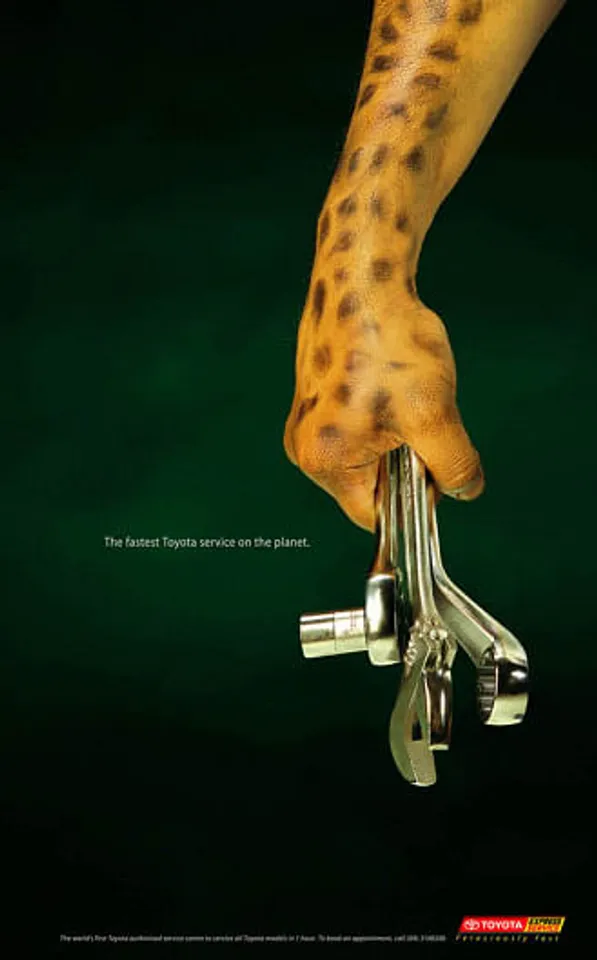 Cheetah