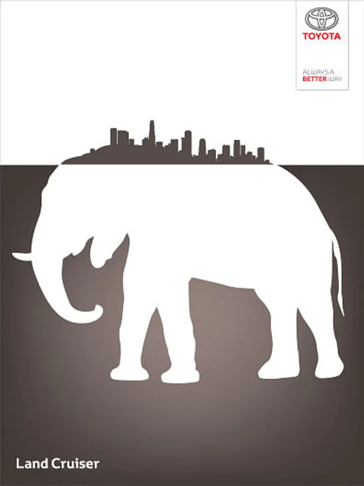 Wild city, 2