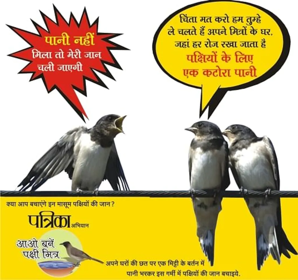 save dird
