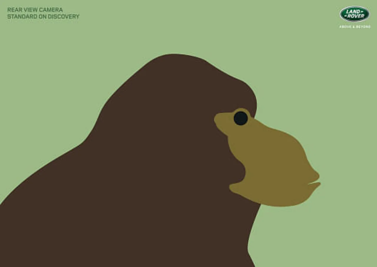 Gorilla-Frog