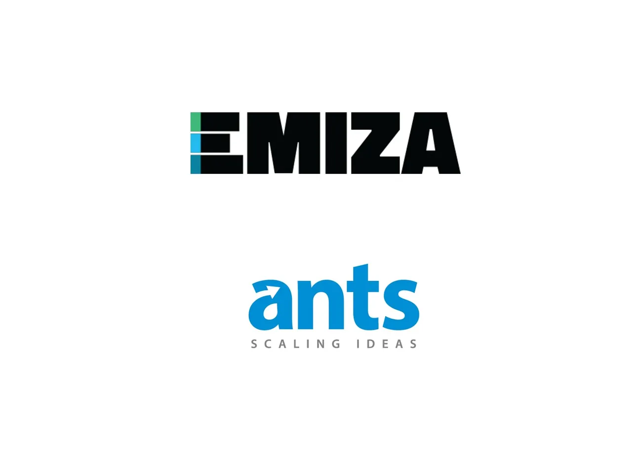 Emiza assigns digital duties to Ants Digital