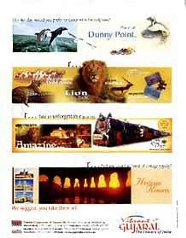 This holiday, would you prefer to dance with the dolphins?