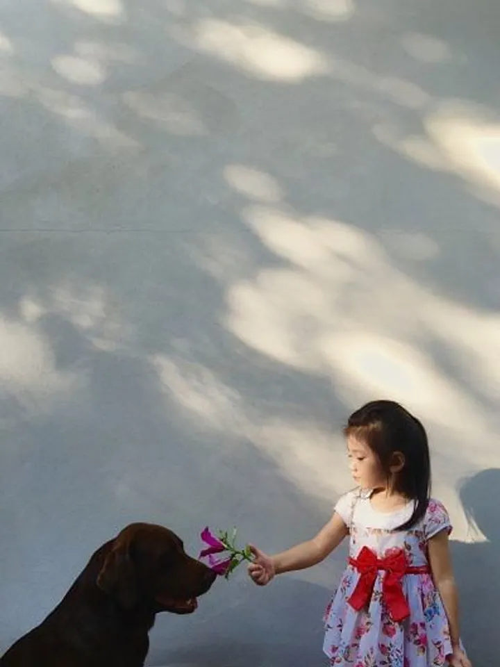 A photo of a young girl and a dog taken by Jirasak Panpiansin in Chaiyaphum ProvinceThailand