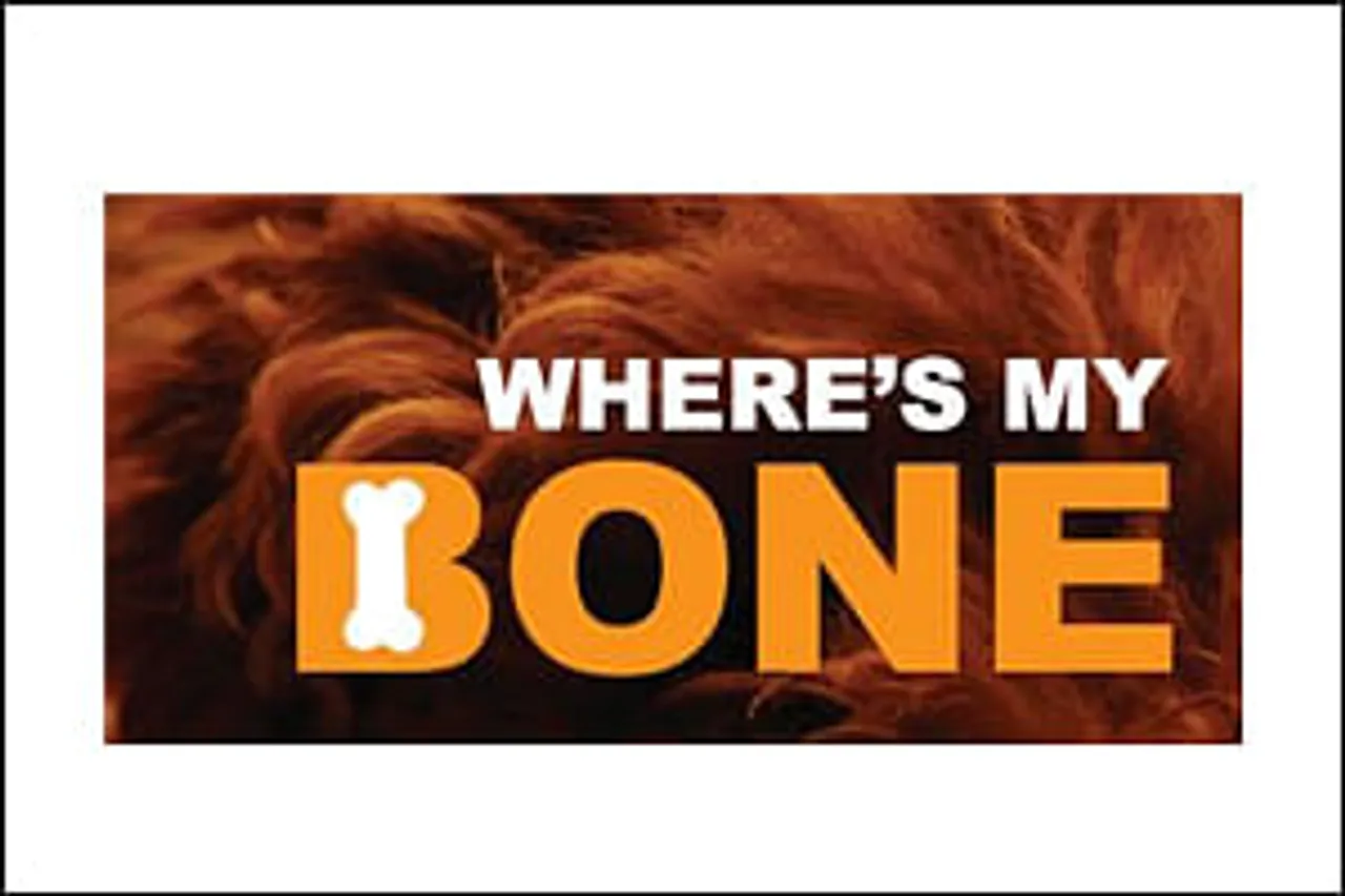 Where's My Bone: A magazine tailor-made for dog lovers