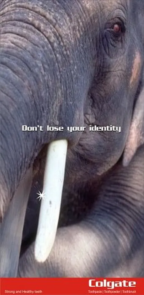Dont lose your Identity