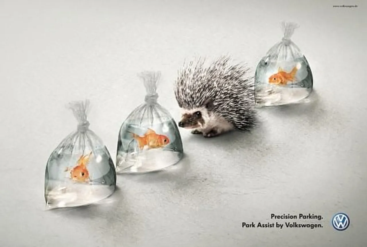 Hedgehog and Fish