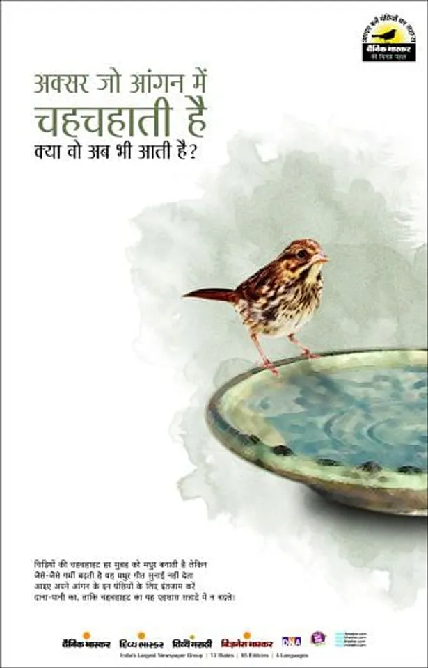 Bird