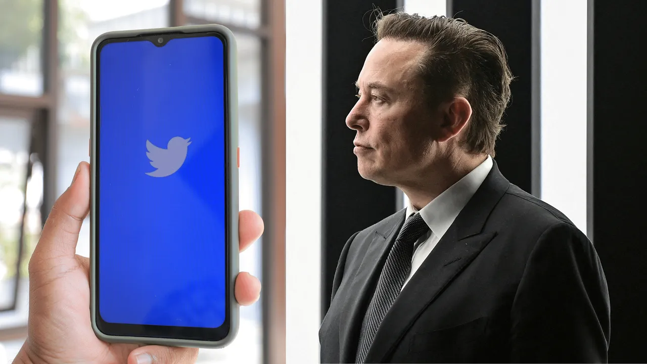 Elon Musk puts the relaunch of Twitter Blue on hold 