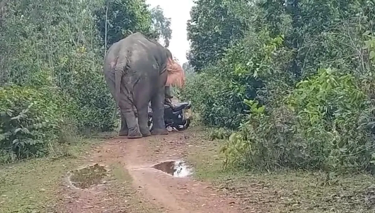 WhatsApp Image 2024-10-26 at 19.06.07