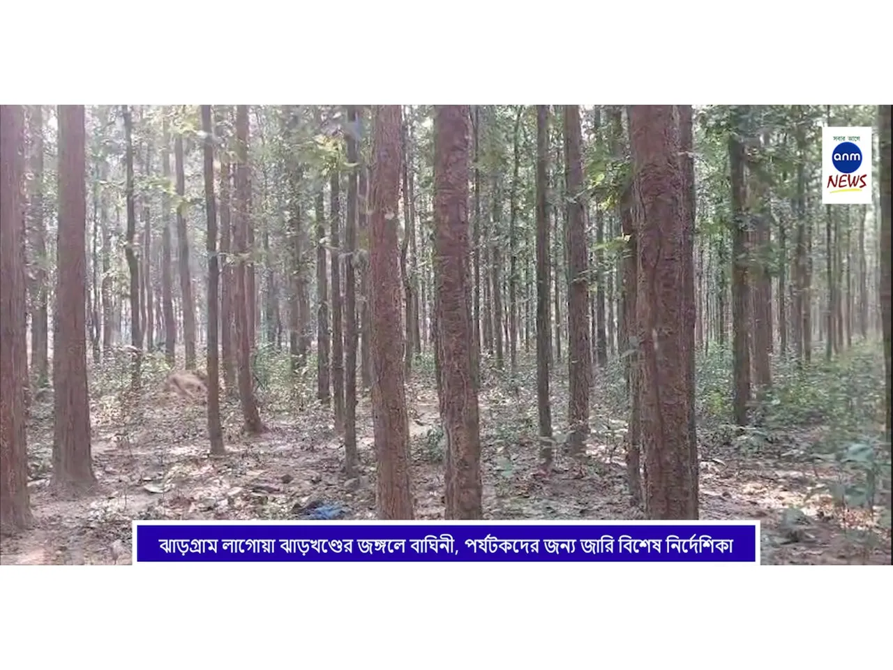 WhatsApp Image 2024-12-11 at 5.14.16 PM