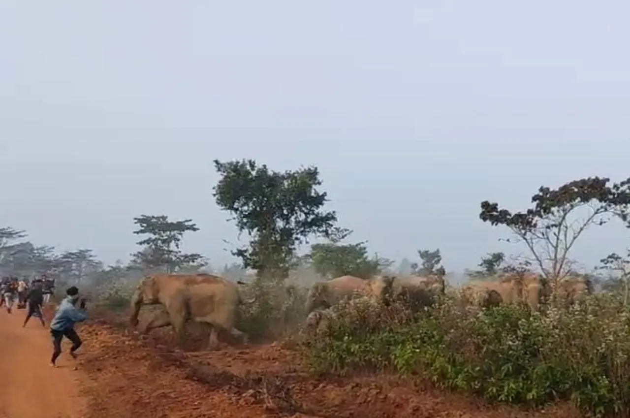 WhatsApp Image 2025-01-01 at 19.55.16