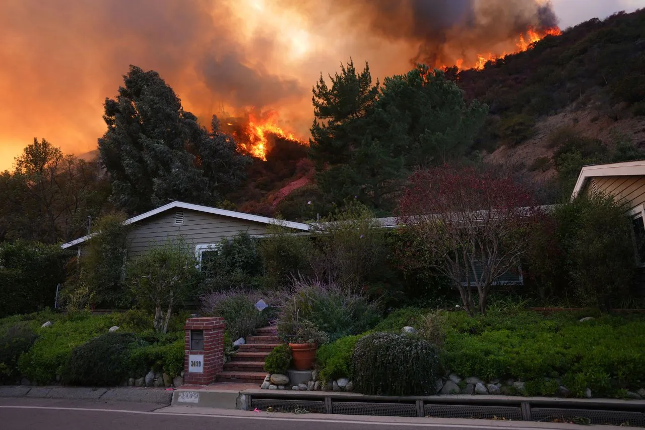 Wildfire
