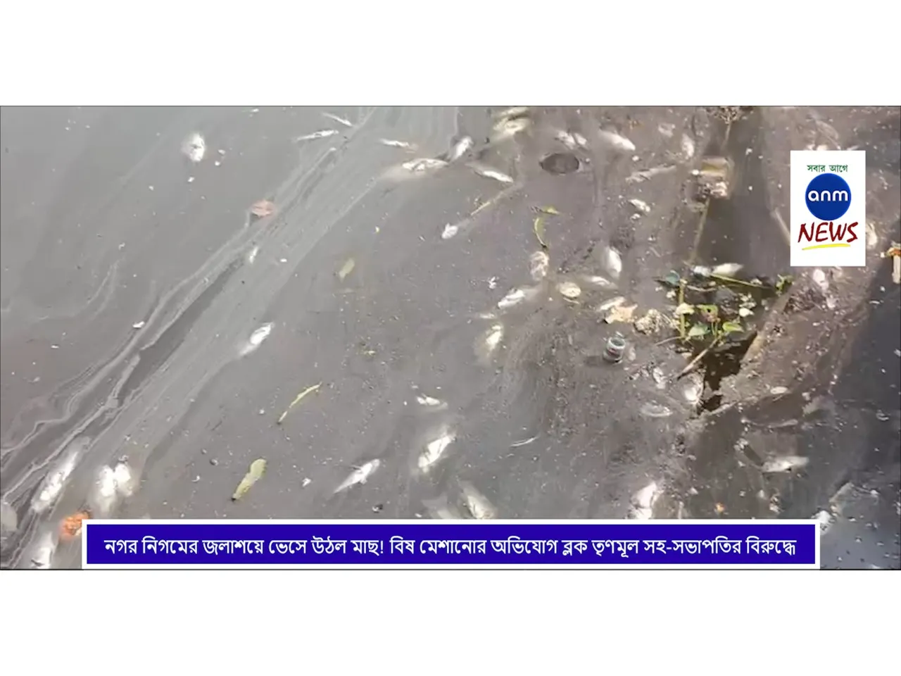 WhatsApp Image 2025-01-13 at 4.30.06 PM