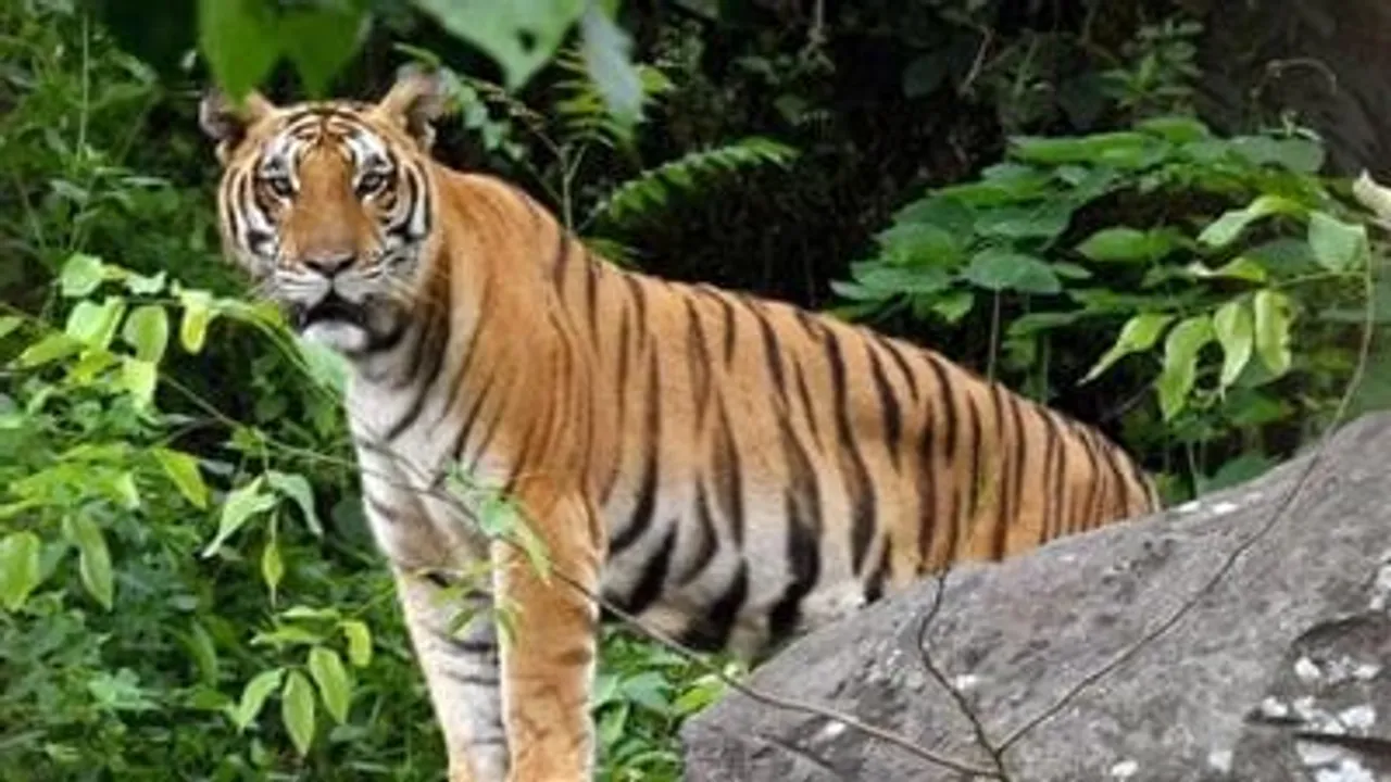 WhatsApp Image 2025-01-24 at 20.46.47