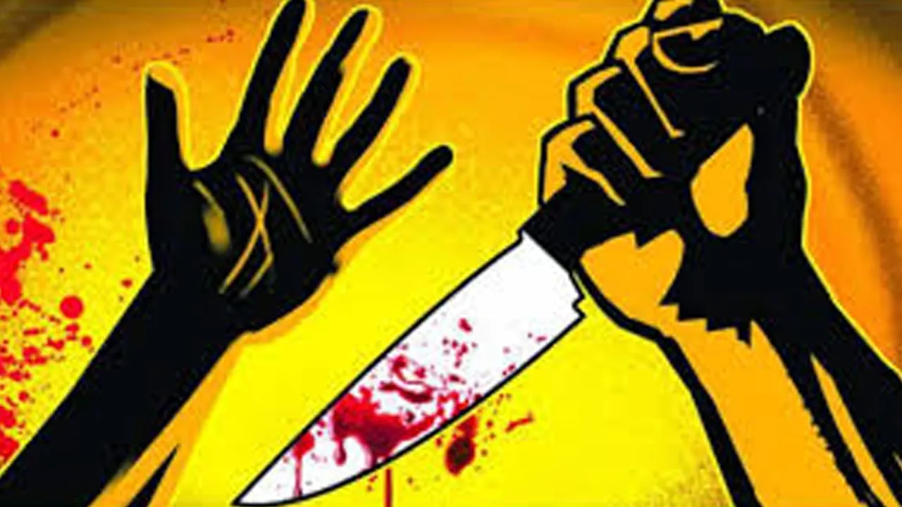 WhatsApp Image 2025-01-31 at 19.12.56