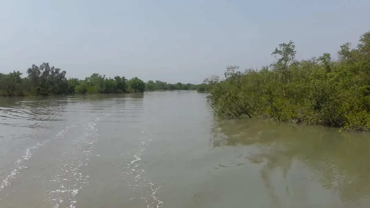 FB_IMG_1739515688726