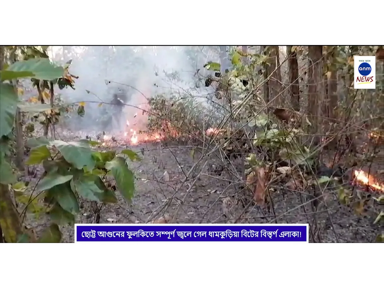 WhatsApp Image 2025-03-07 at 19.17.57