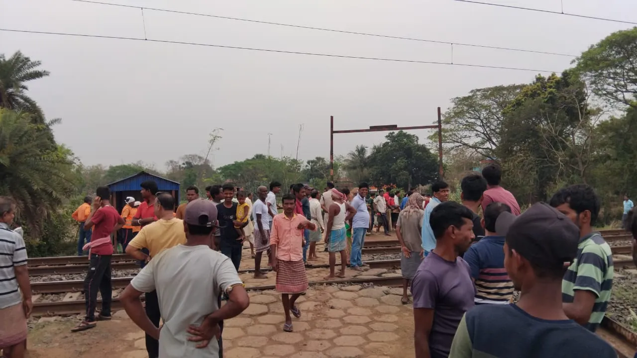 WhatsApp Image 2025-03-21 at 15.16.58