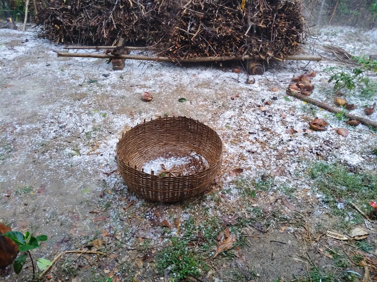 WhatsApp Image 2025-03-21 at 10.32.32 PM