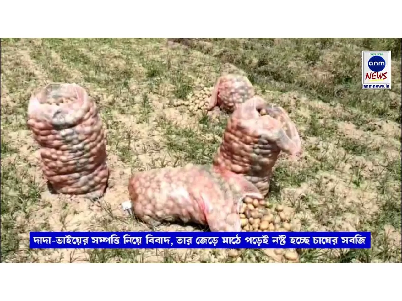 WhatsApp Image 2025-03-29 at 20.33.18