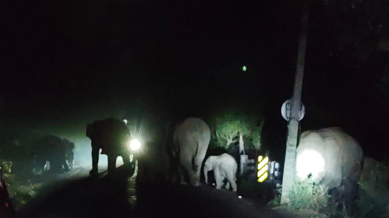 WhatsApp Image 2025-04-03 at 17.59.28 (1)