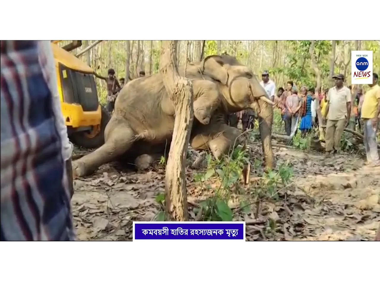 WhatsApp Image 2025-04-09 at 15.02.28