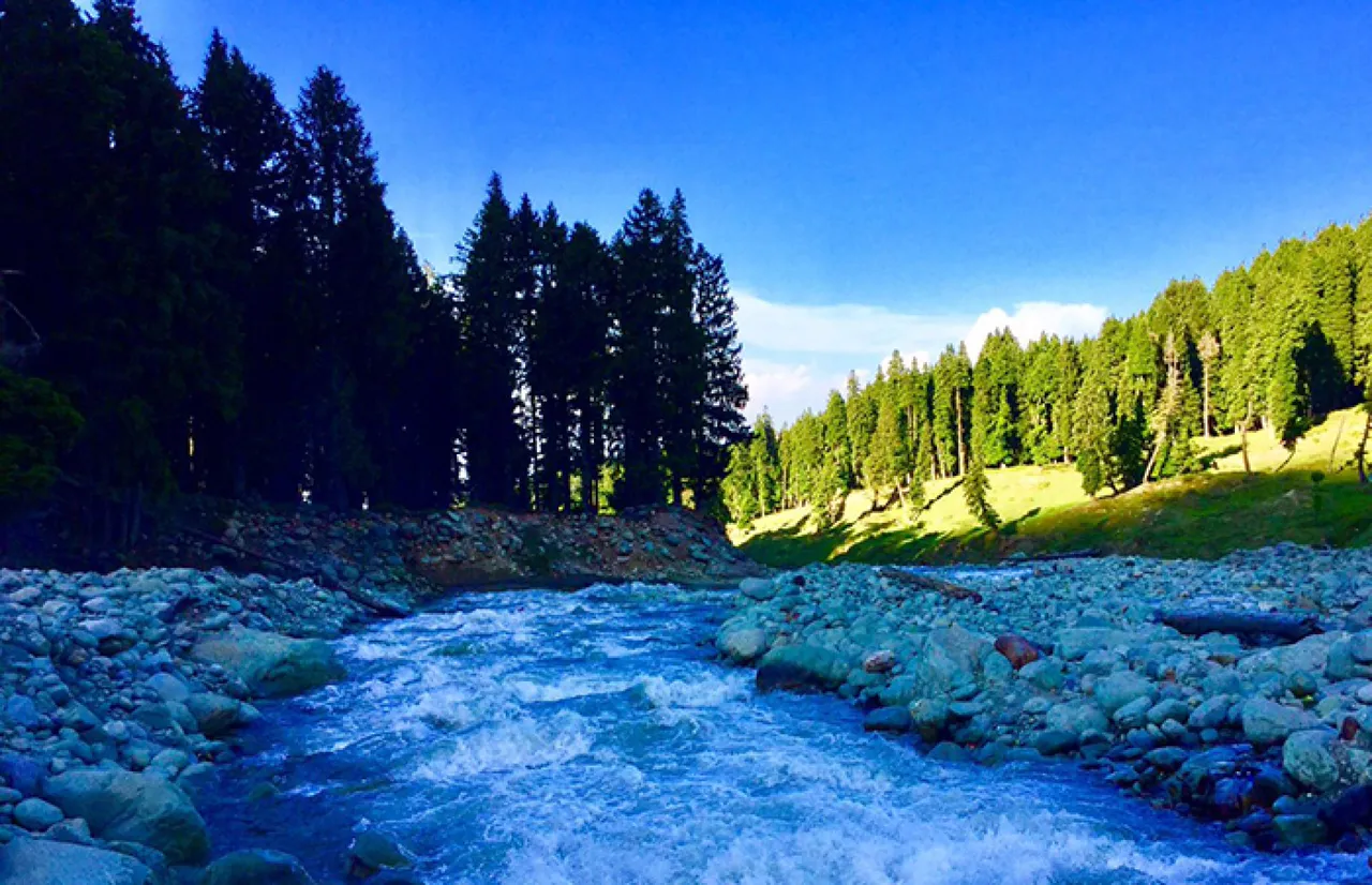 doodhpathri-20231009100245-1_crop